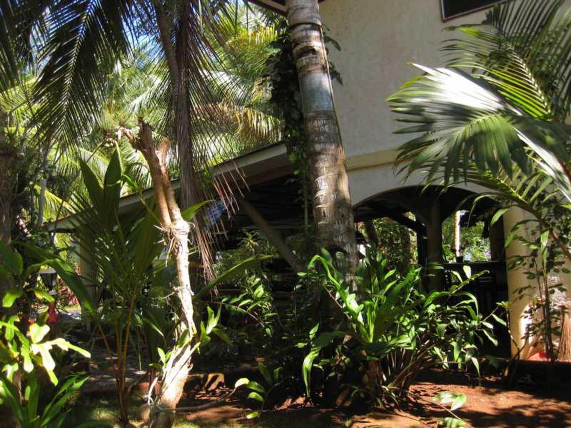 Calypso Resort Panglao City Exterior foto