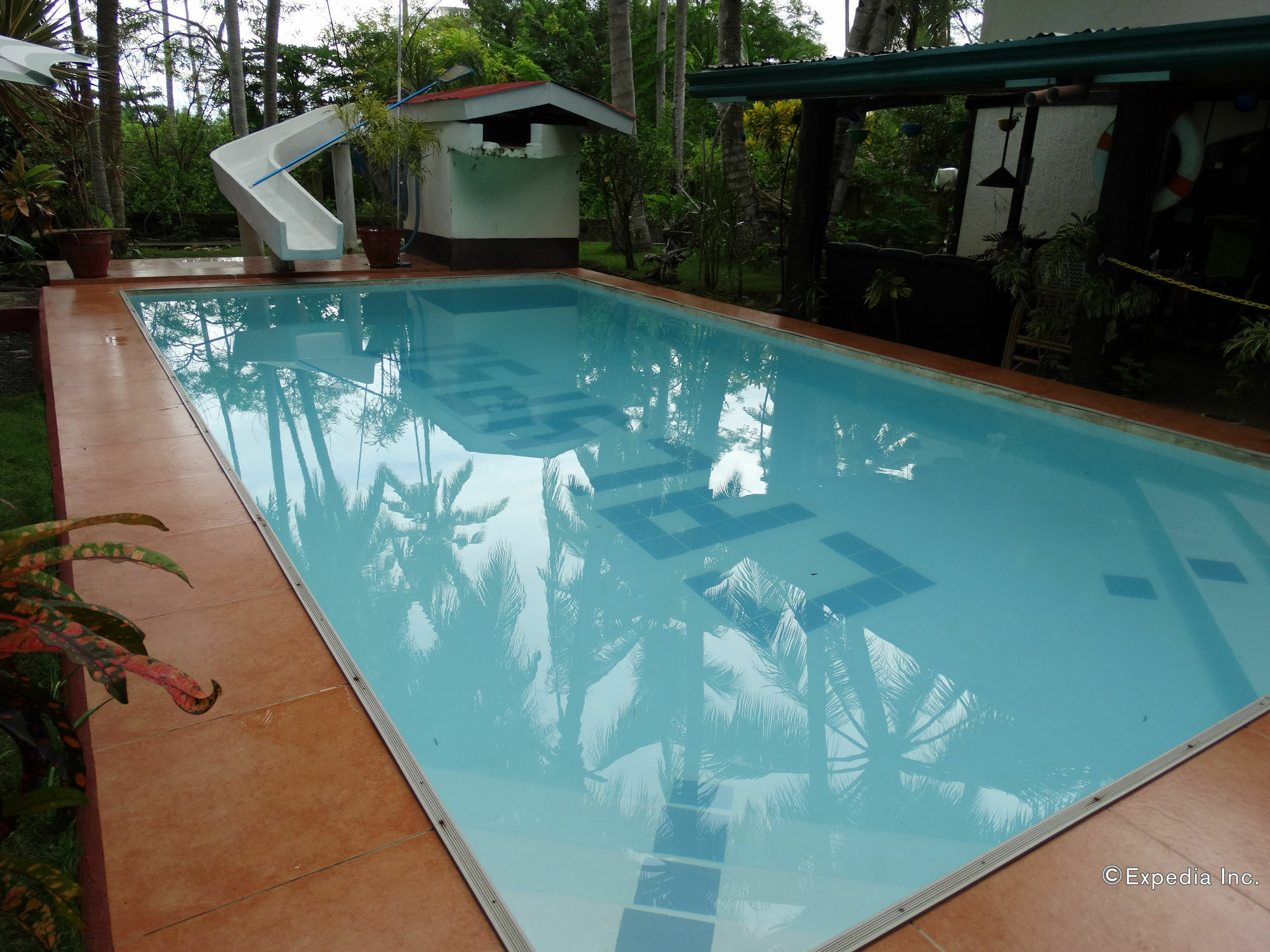 Calypso Resort Panglao City Exterior foto