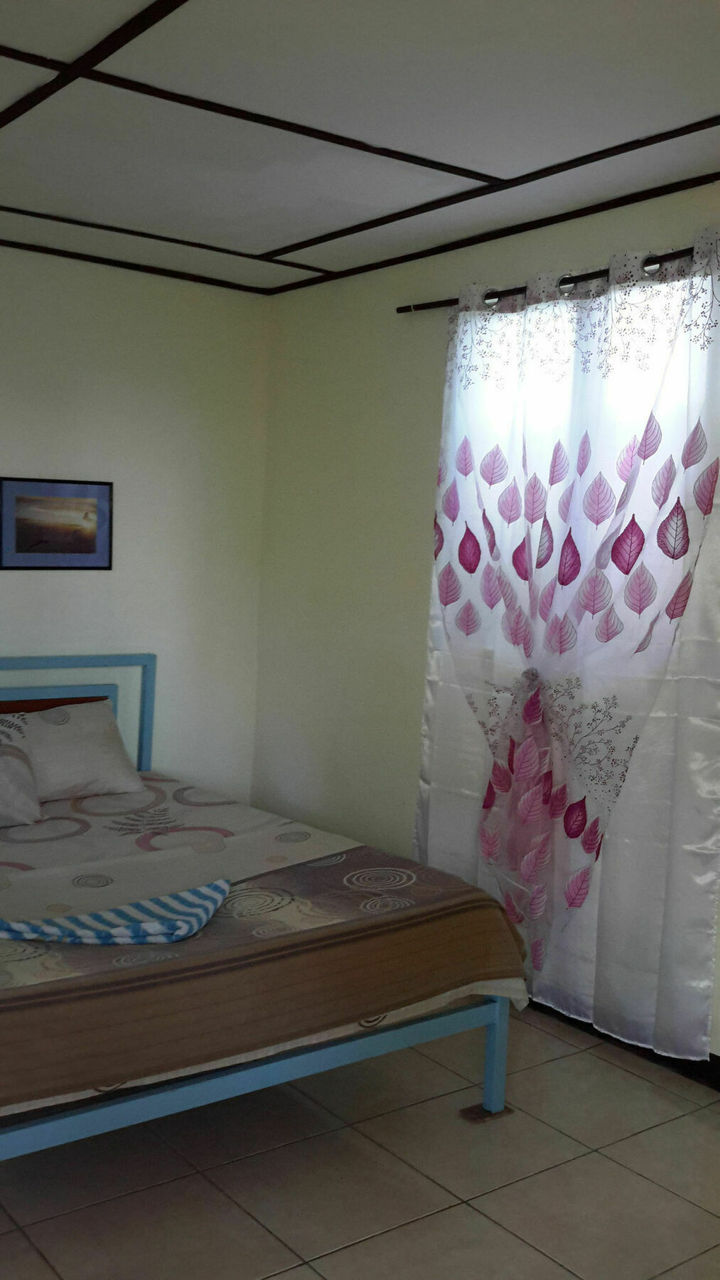 Calypso Resort Panglao City Exterior foto